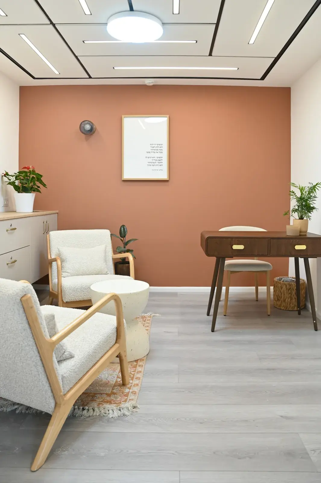 חדר ייעוץ במרפאת גפן — כורסה, שולחן עבודה וצמחייה