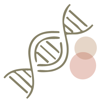 יום בדיקות לנשאיות BRCA ומוטציות אחרות