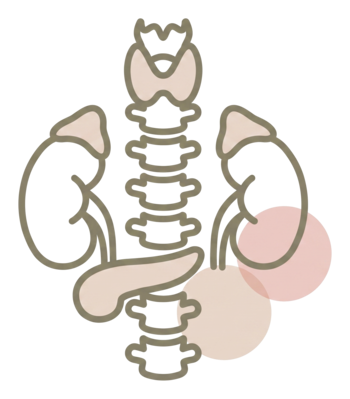 אנדוקרינולוגיה