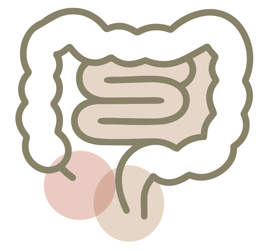 כירורגיה כללית