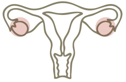 גינקולוגיה ופריון